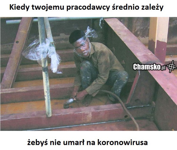 koronawirus cz. VIII