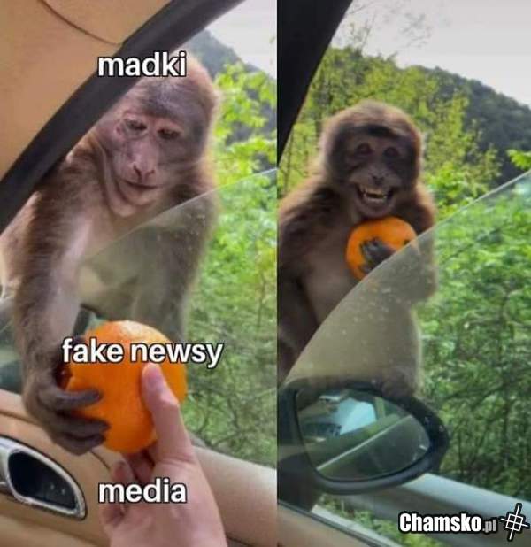 Fake news