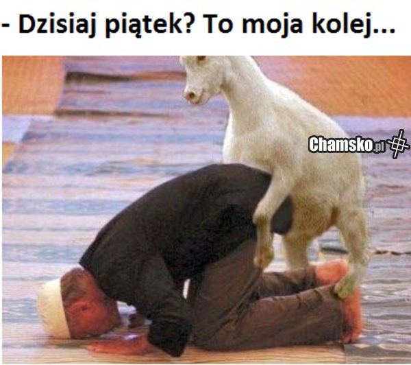 Chciałeś wydymać Freda?