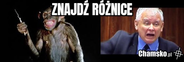 Znajdź różnice