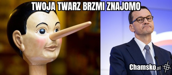 Uderzające podobieństwo