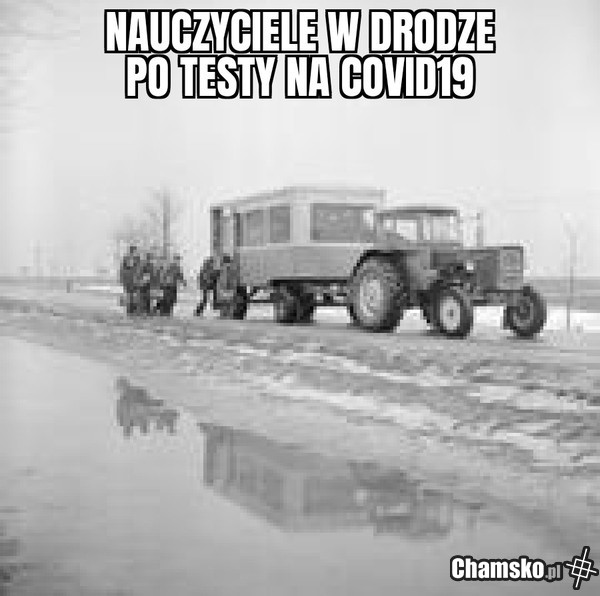 Testy COVID