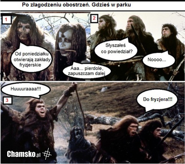 Do fryzjera