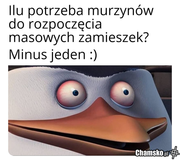 Ilu potrzeba czarnuchów