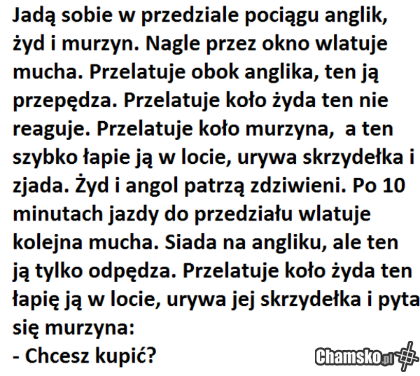 Jak zarabiają żydzi? cz. XVI