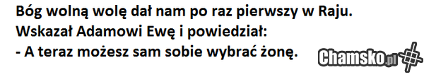 średni wybór
