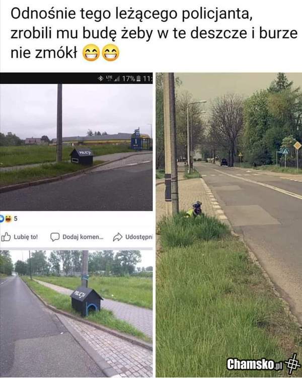 Miły gest