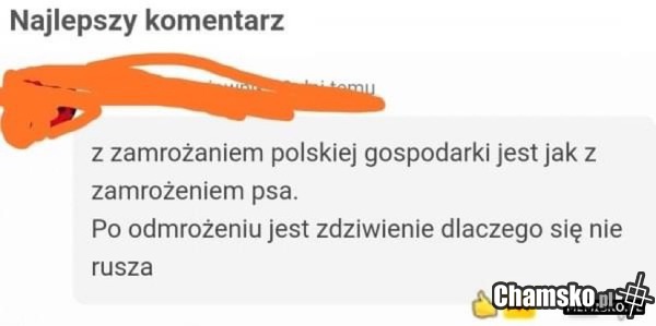 Magda Gessler: wy trujcie tym ludzi !