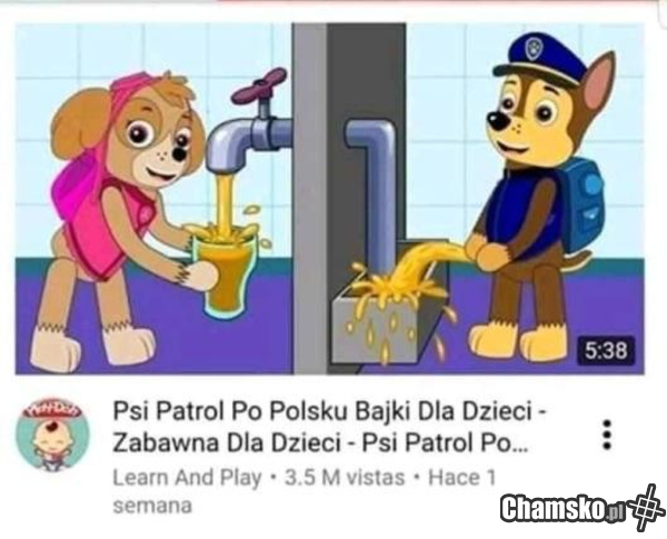 Psi patrol