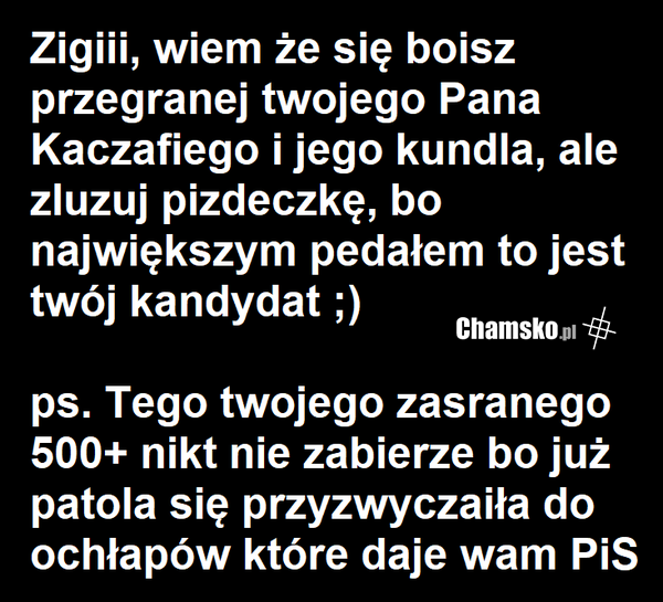 Zigiii nie spam gównem
