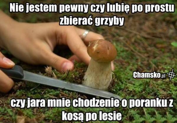Nie wiem