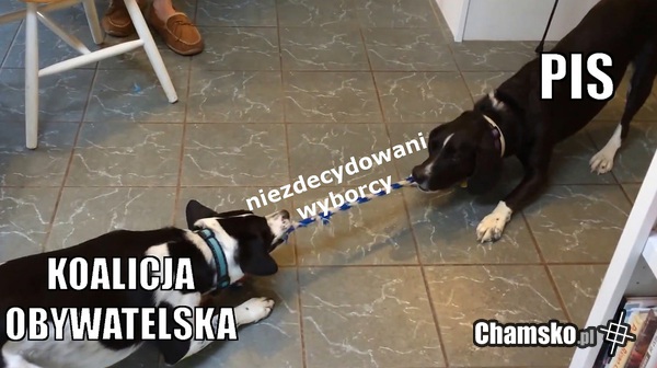 Niezdecydowani wyborcy