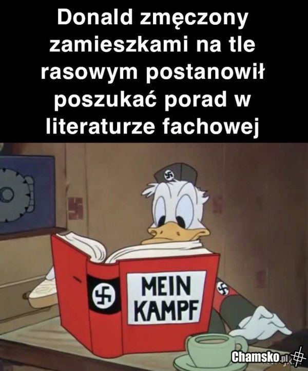 Mądry Donald