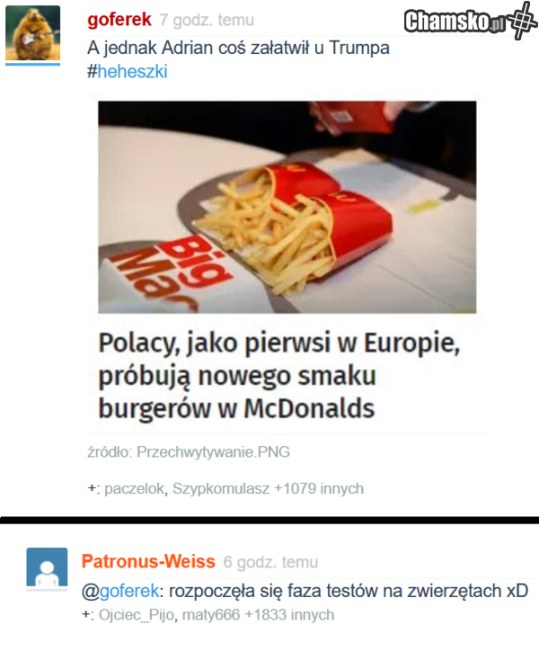 Testy na polskich zwierzętach