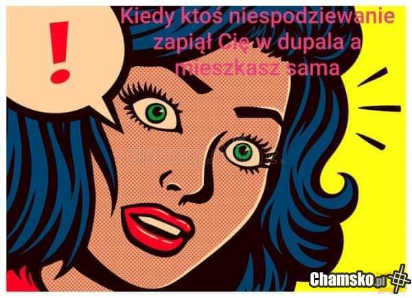 Łysy z Brazzers