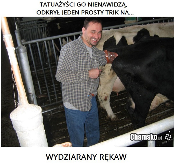 efekt taki sam, więc po co przepłacać