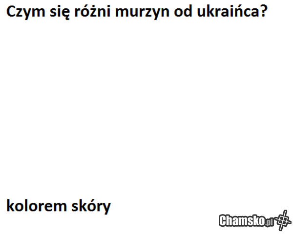 i to kurwa i to kurwa