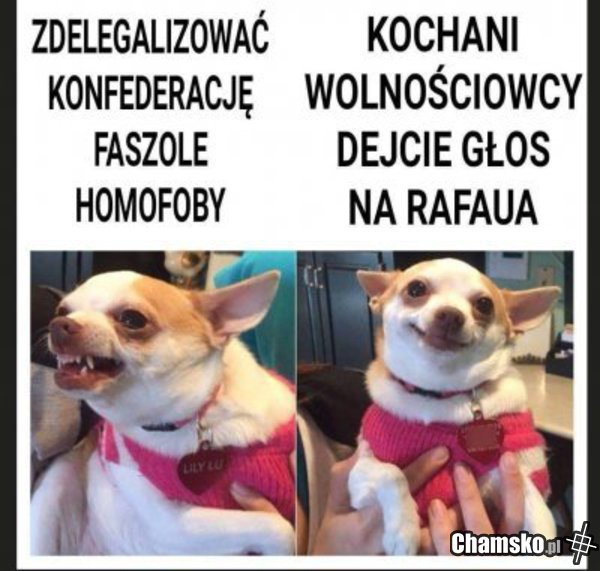 Pomocy