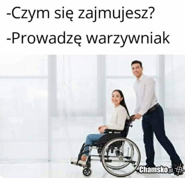 Warzywniak
