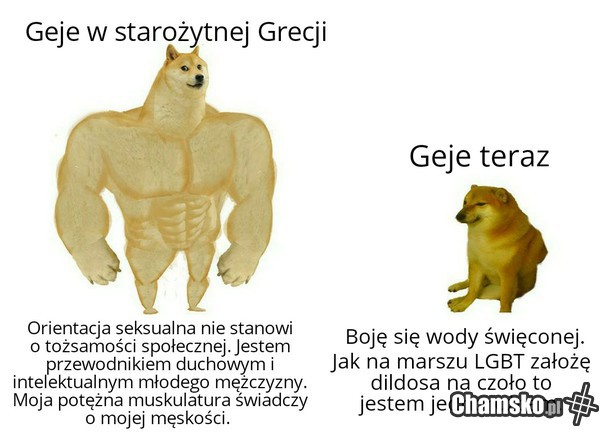 Jednorożce