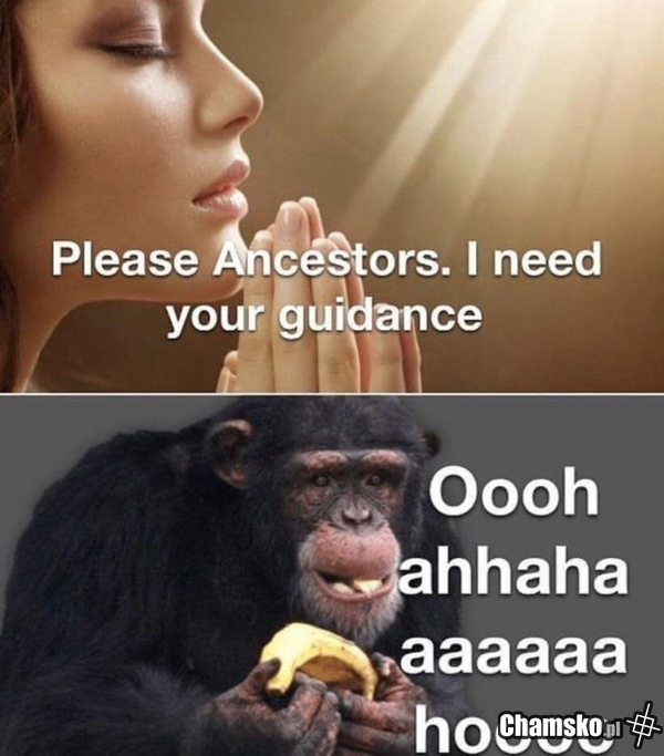 Plebs