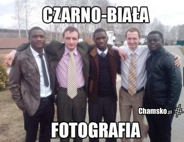 Prawie jak Oreo