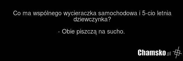 Co ma wspólnego wycieraczka samochodowa i 5-cio letnia dziewczynka? - Obie piszczą na sucho.