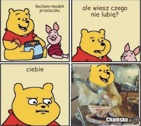 Prosiałke głodny byk