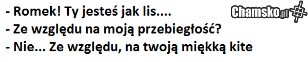 Przygody Romka z Łomży cz. XXVIII