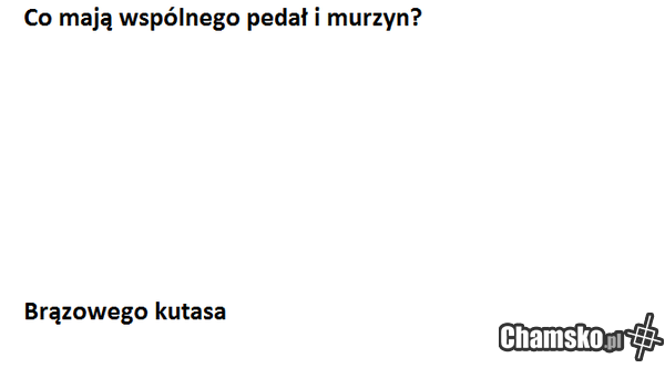 jeden z nich to admin