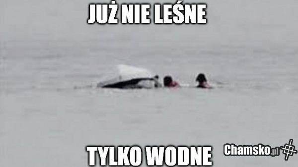 TNO