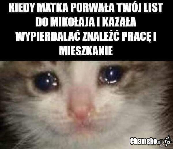 Samo życie