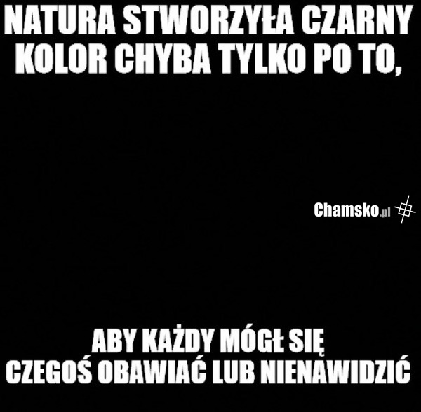 TNO