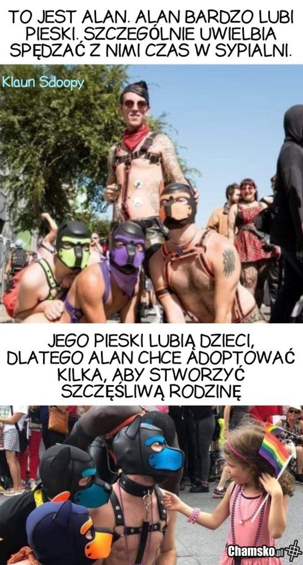 Pieski Alana...