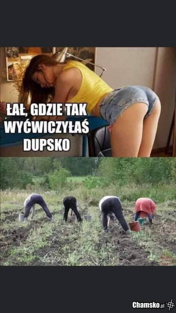 Praca na roli i nie ma że boli