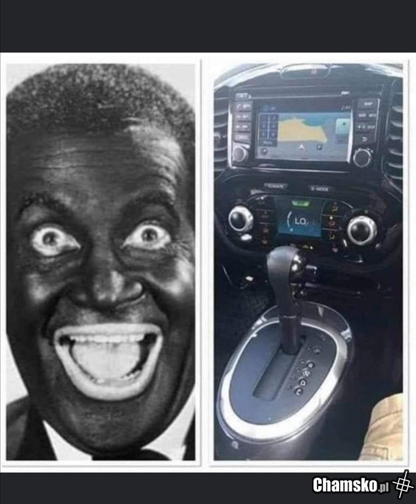 Bambus