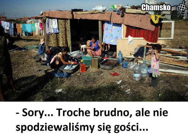 Goście