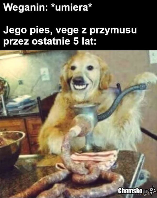 Natury nie oszukasz.