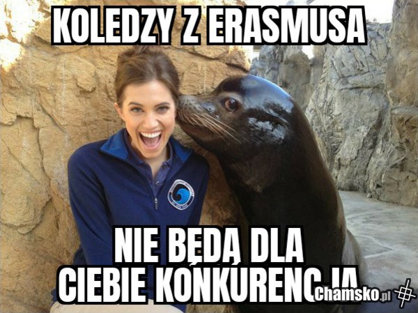 Erazmus