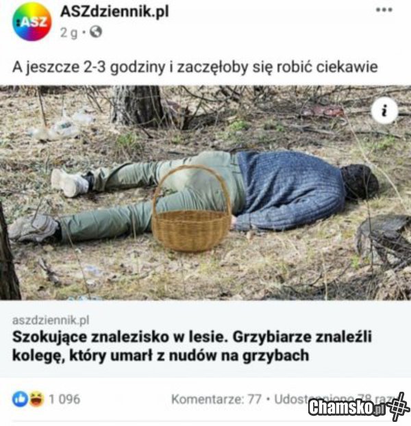 Grzybki