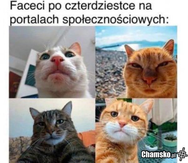 Stare kutafony