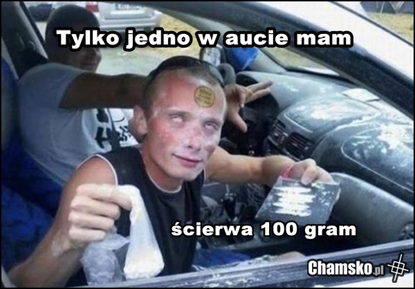 biały węgorz