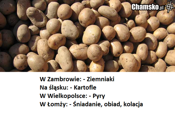 Ziemniaki