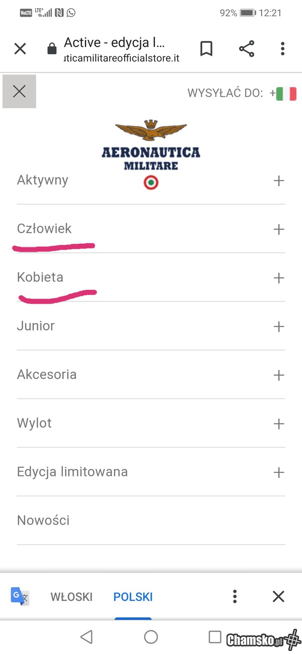 Tłumacz