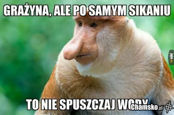 Po sikaniu niespuszczaj