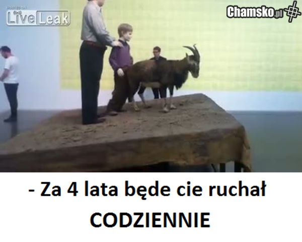 kozojebca