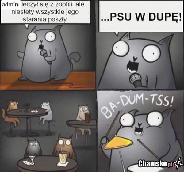Admin to zoofil