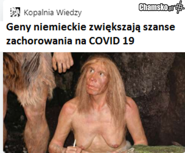 Miss Niemiec