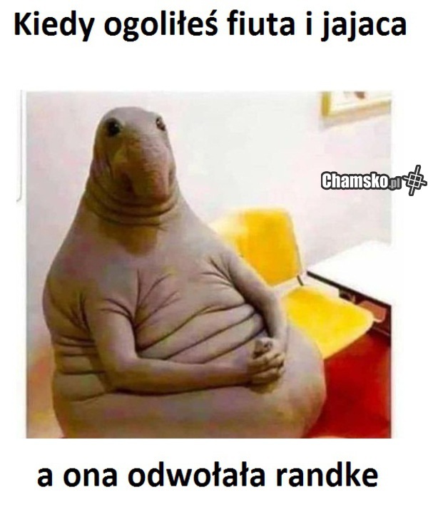 mój fiut = dzisiaj