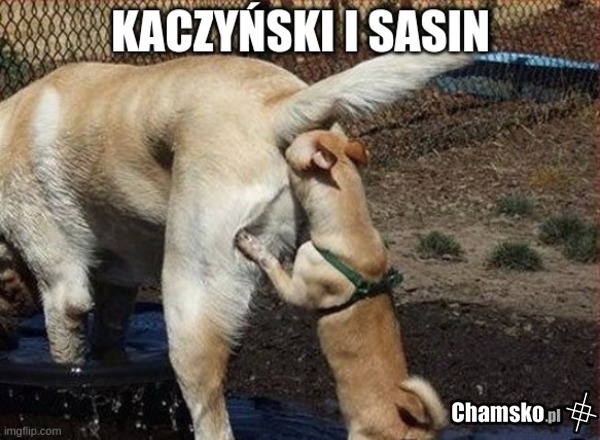 Wybory